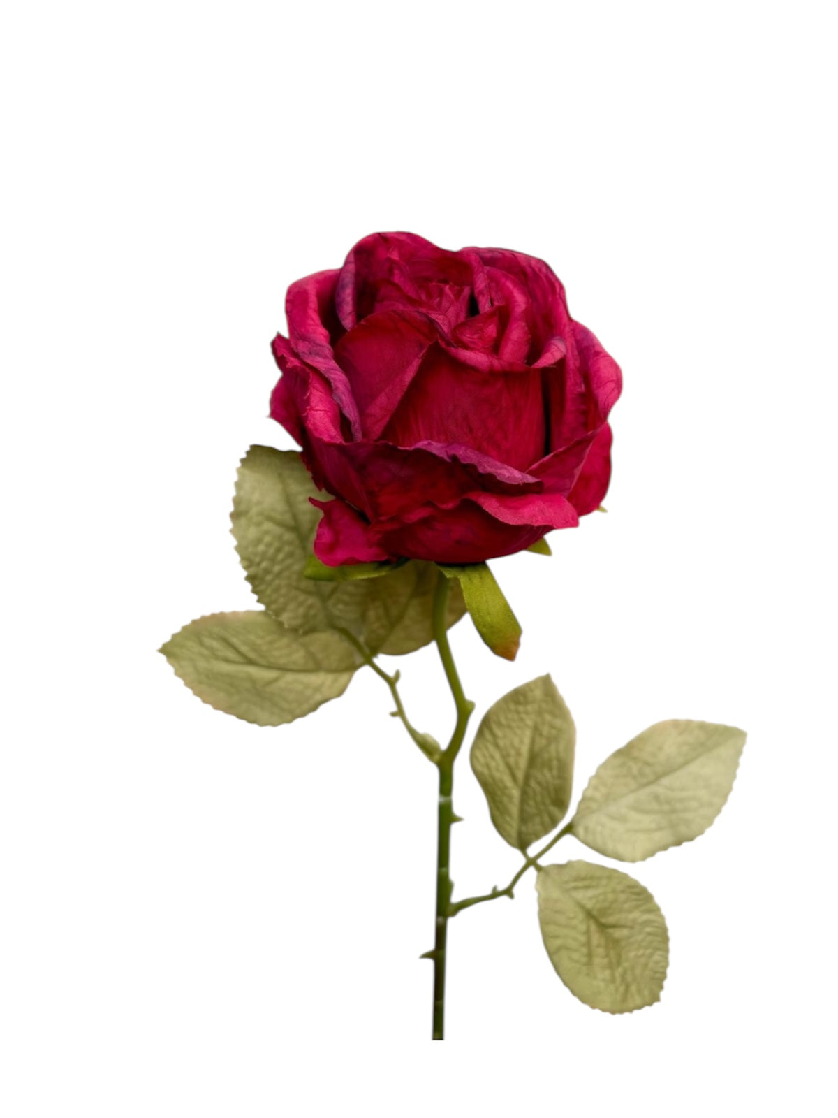 Luxe Roos halfopen XL 66x8cm rood (nummer 4)