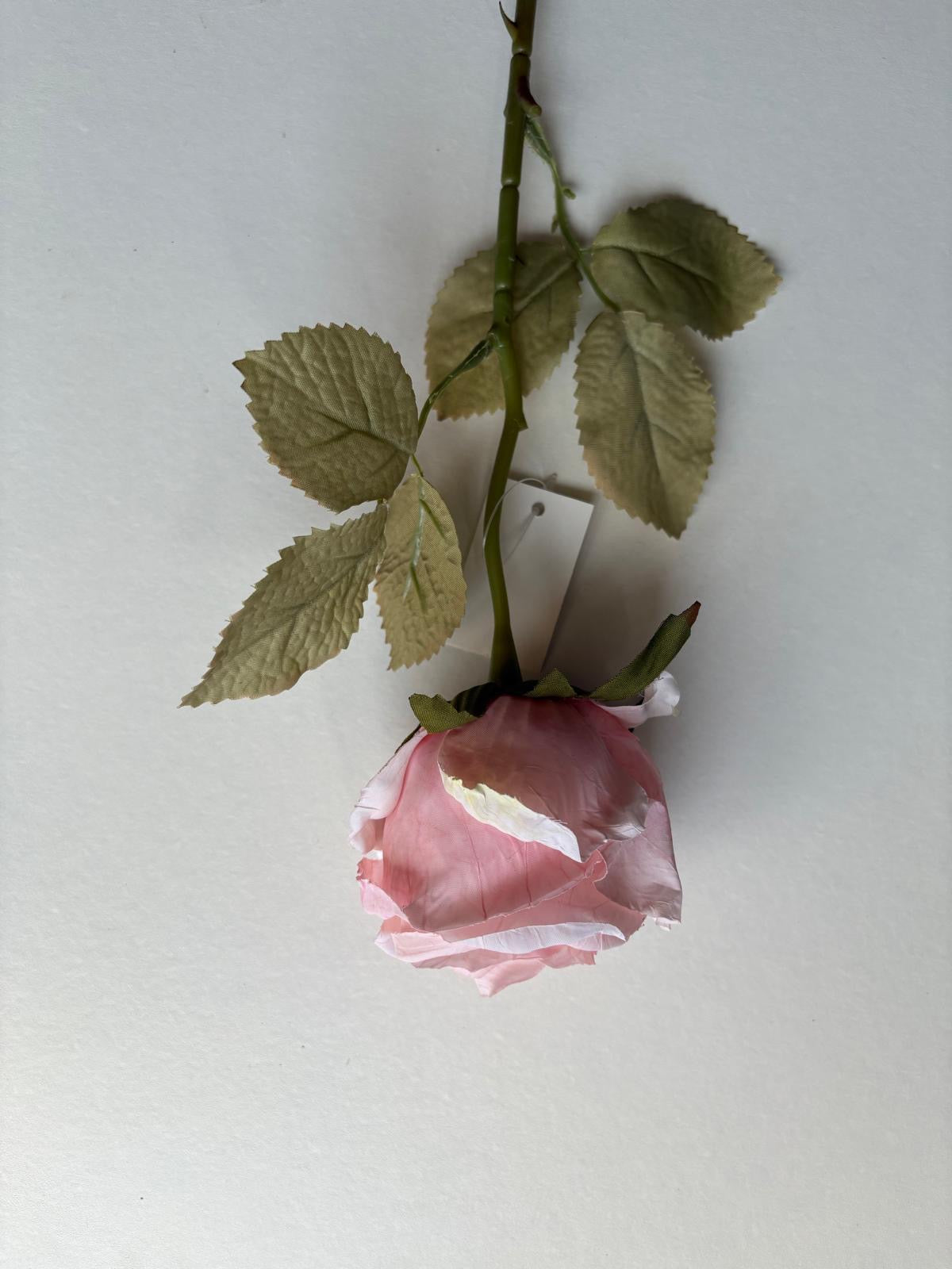 Luxe Roos halfopen XL 66x8cm licht roze (nummer 1)