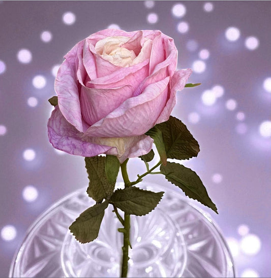 Luxe Roos halfopen XL 66x8cm roze (nummer 3)