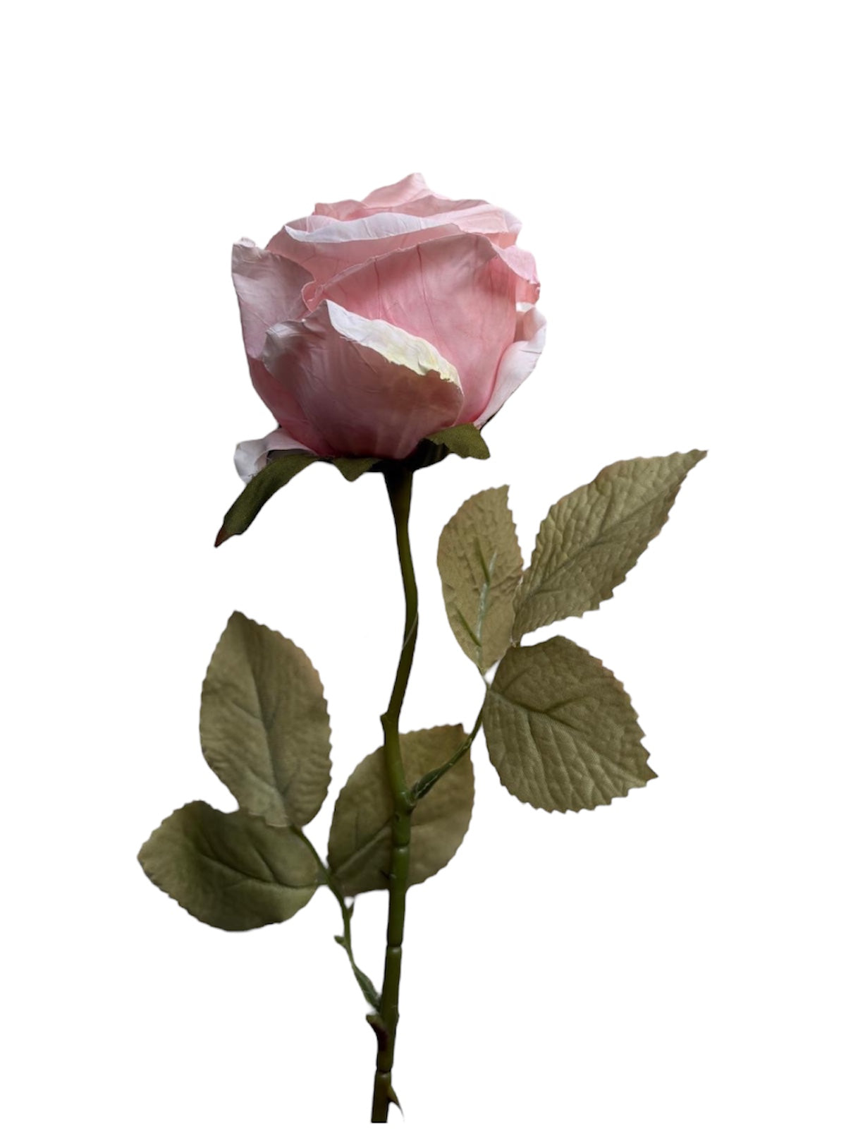 Luxe Roos halfopen XL 66x8cm licht roze (nummer 1)